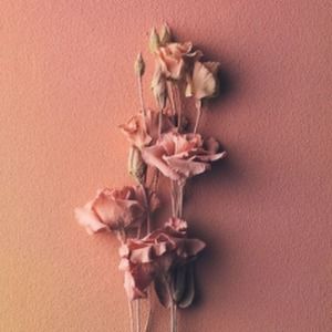 Meet your Posher, Jaynie